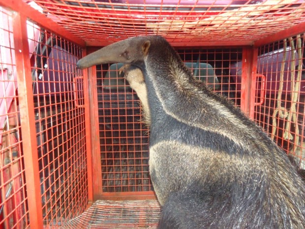 ???????????????????????????????