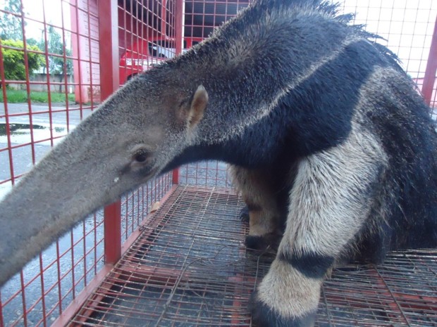 ???????????????????????????????