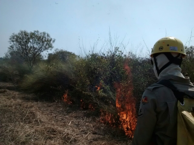 WhatsApp Image 2016-08-16 at 22.40.23