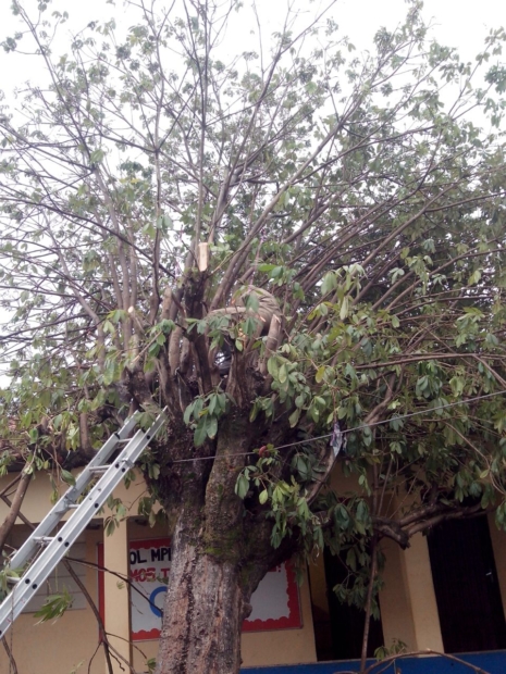 WhatsApp Image 2016-08-17 at 09.16.21 (1)