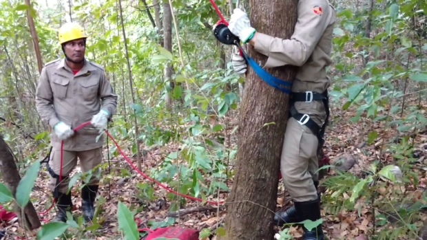 WhatsApp Image 2016-08-18 at 18.17.57