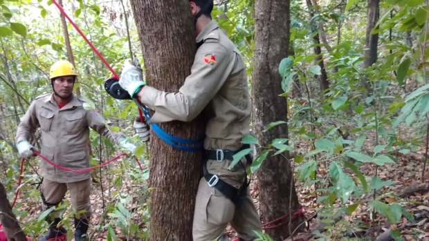 WhatsApp Image 2016-08-18 at 18.18.03