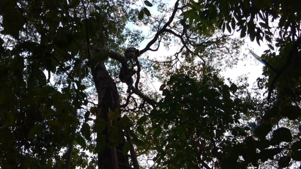 WhatsApp Image 2016-08-18 at 18.18.11