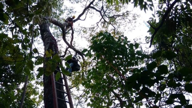 WhatsApp Image 2016-08-18 at 18.18.16