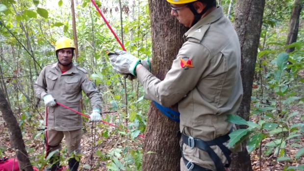 WhatsApp Image 2016-08-18 at 18.18.32