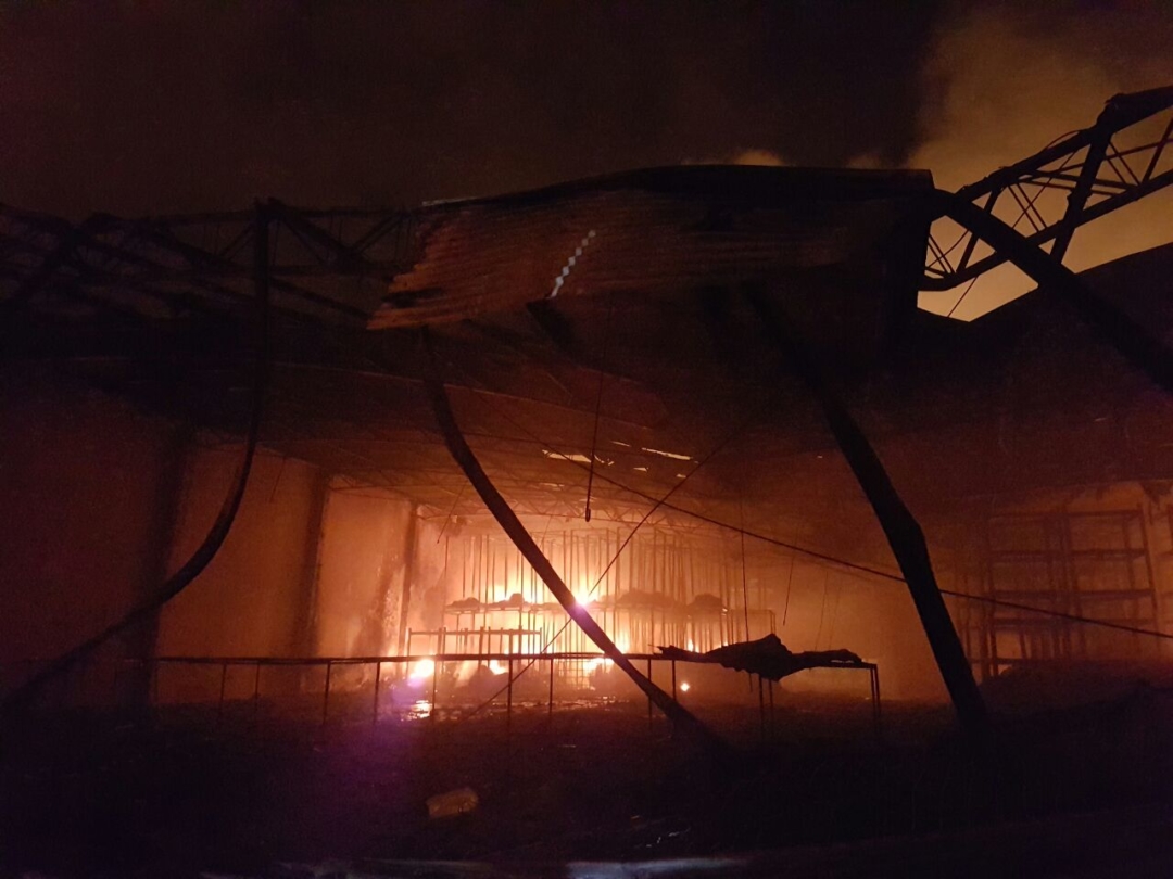 10dd7013-286c-484c-b5bd-36fa2b16a598