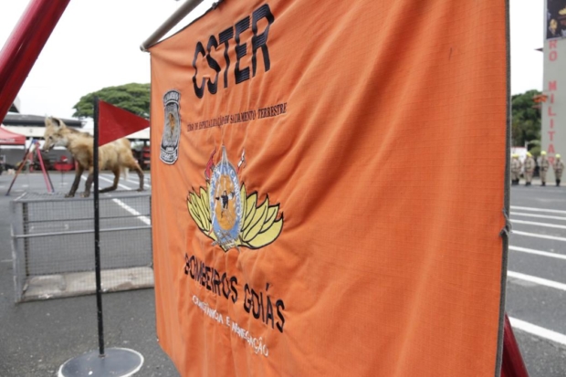 _MG_1006 (Copy) - Cópia