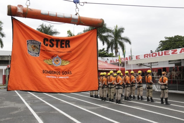 _MG_1182 (Copy) - Cópia