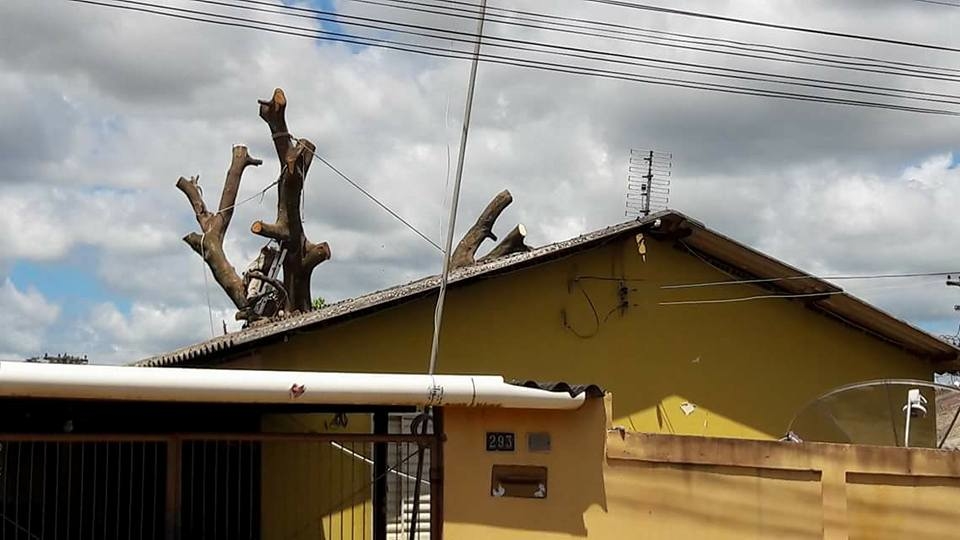 15578534_1042961842498865_8356854213724111689_n