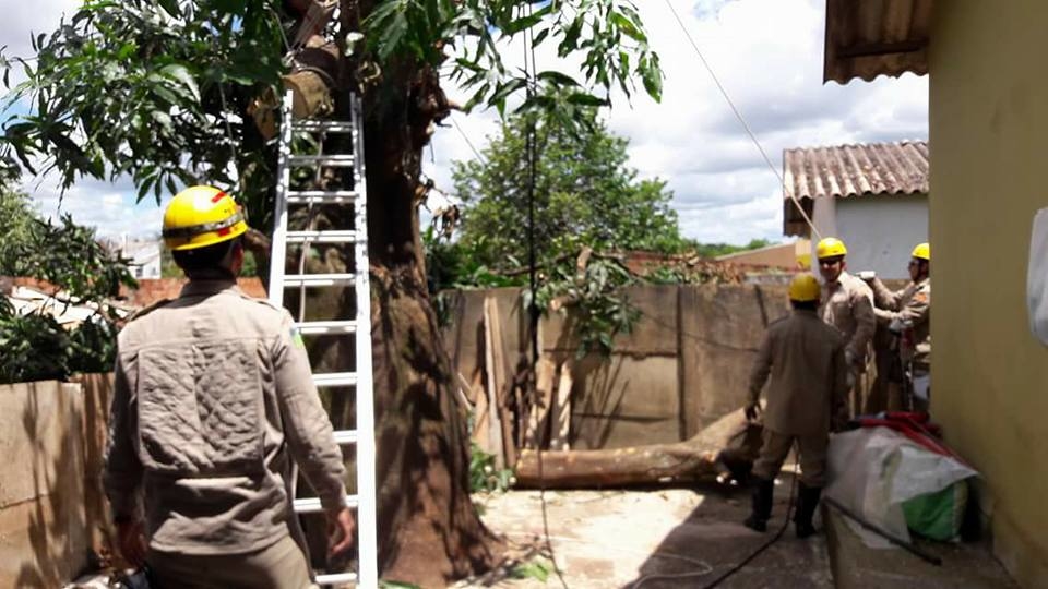 15578689_1042961732498876_6946815545391102572_n