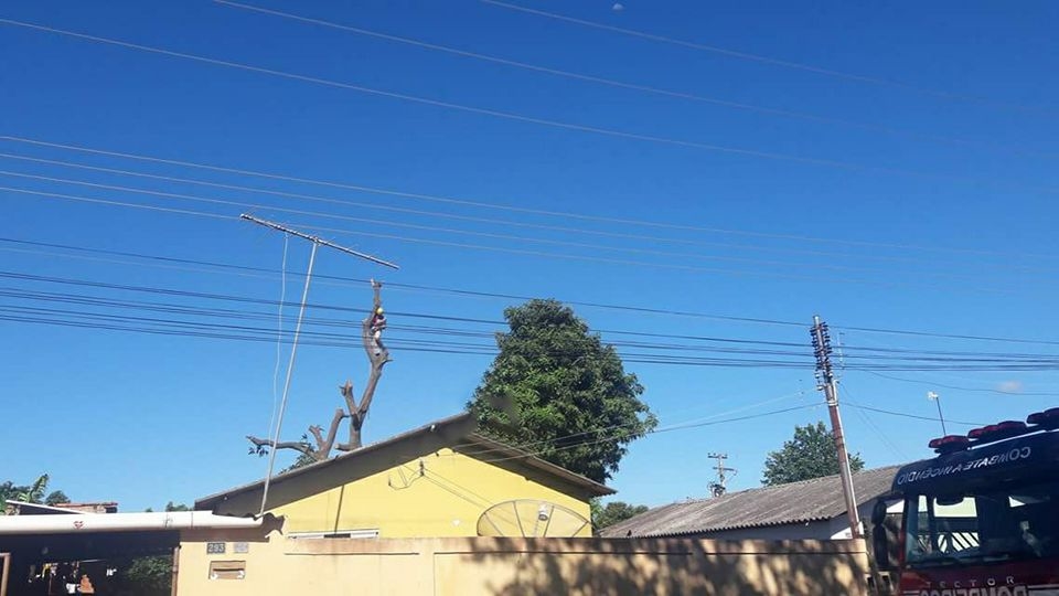 15589897_1144287495678669_3978099251824758906_n