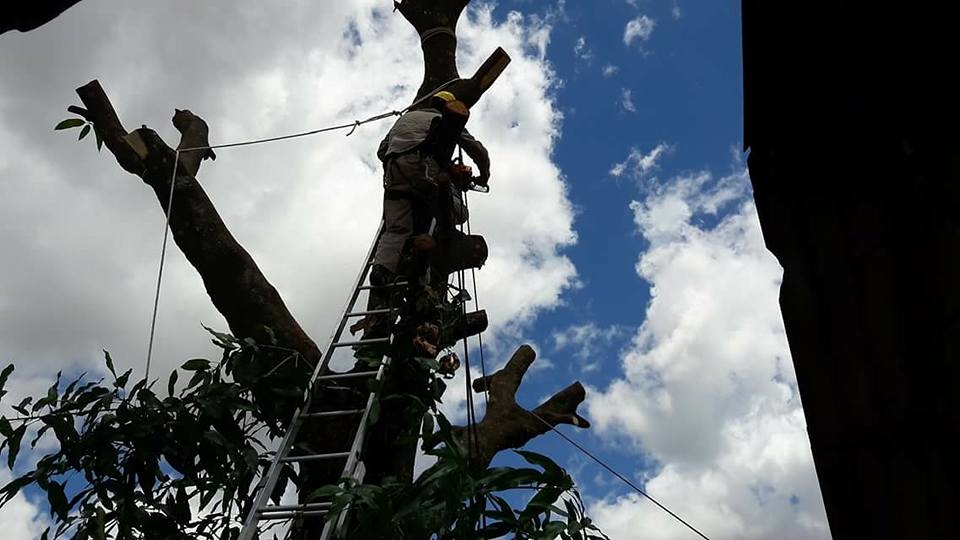 15590470_1042961765832206_8256902316661242950_n