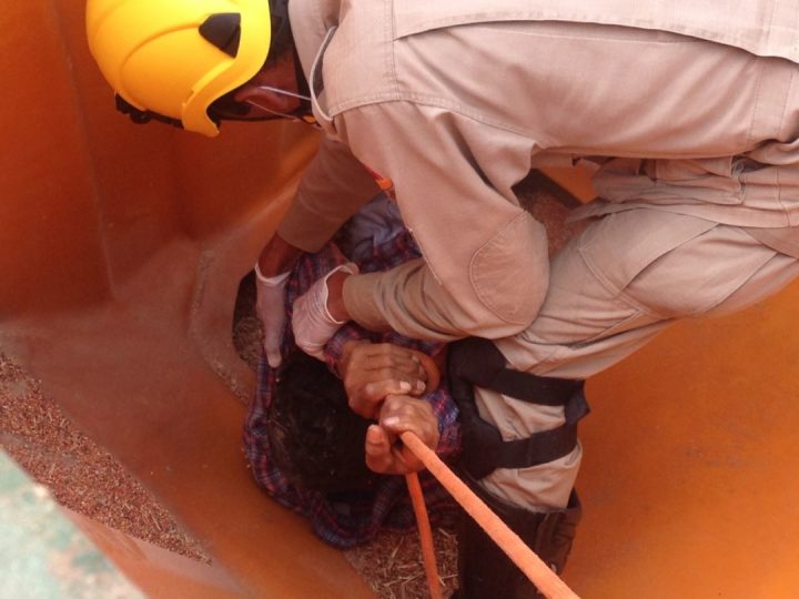 2017-01-17-PHOTO-00000251