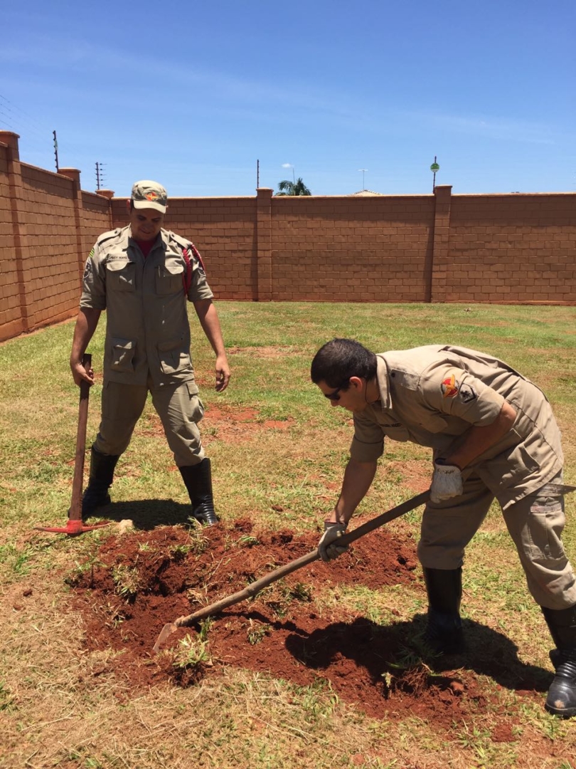 WhatsApp Image 2017-01-08 at 18.16.43