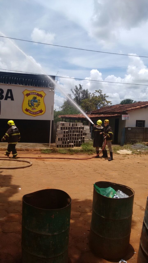 WhatsApp Image 2017-01-26 at 15.53.46