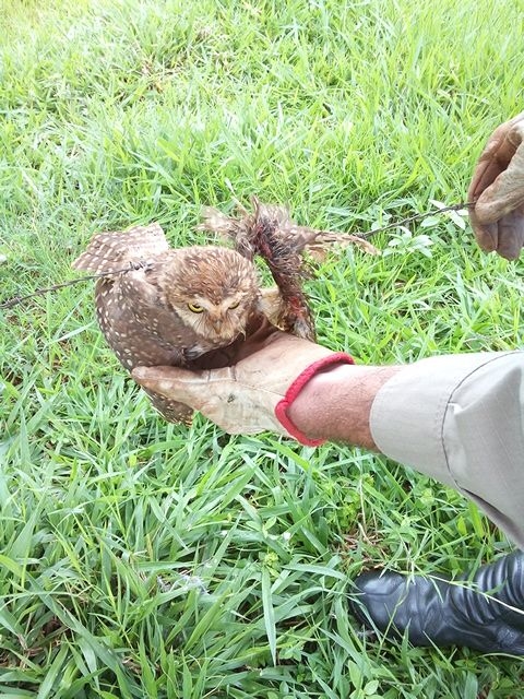 WhatsApp Image 2017-01-31 at 14.59.26