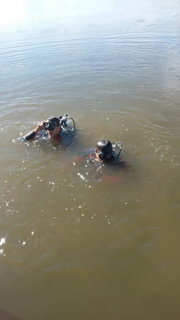 WhatsApp Image 2017-02-06 at 16.51.35