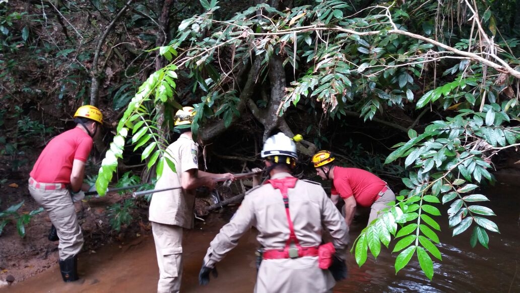 WhatsApp Image 2017-02-17 at 17.28.01