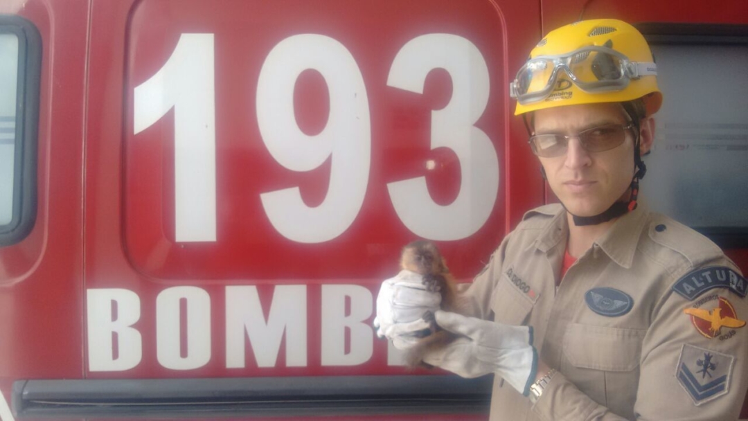 WhatsApp Image 2017-02-21 at 11.30.59