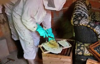 WhatsApp Image 2017-03-08 at 06.50.15