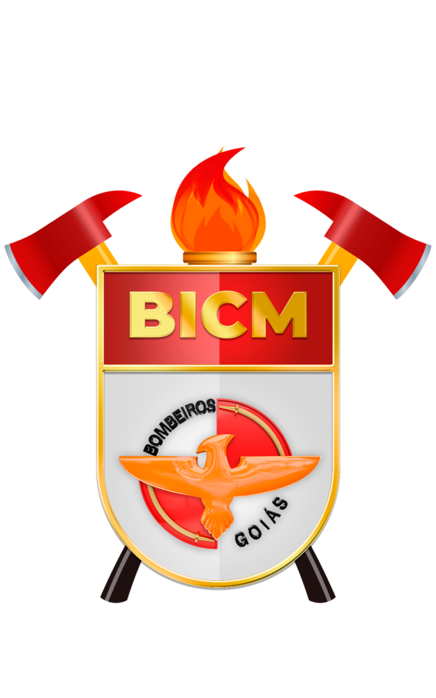 BICM