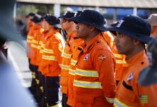 Corpo de Bombeiros Militar do Estado de Goiás lança Operação Cerrado Vivo 2025