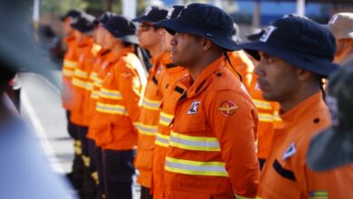 Corpo de Bombeiros Militar do Estado de Goiás lança Operação Cerrado Vivo 2025