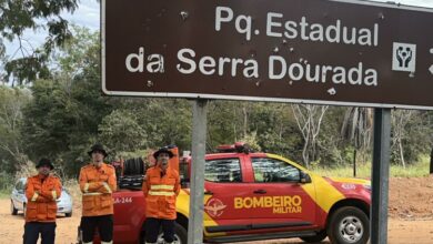 Rascunho automático