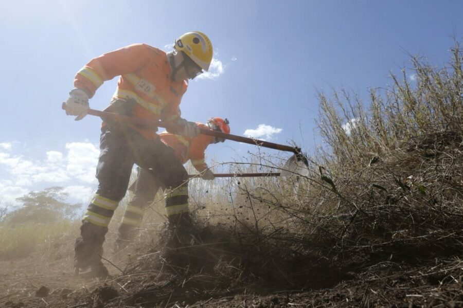 Curso de Instrução de Nivelamento de Conhecimento Florestal – 2025