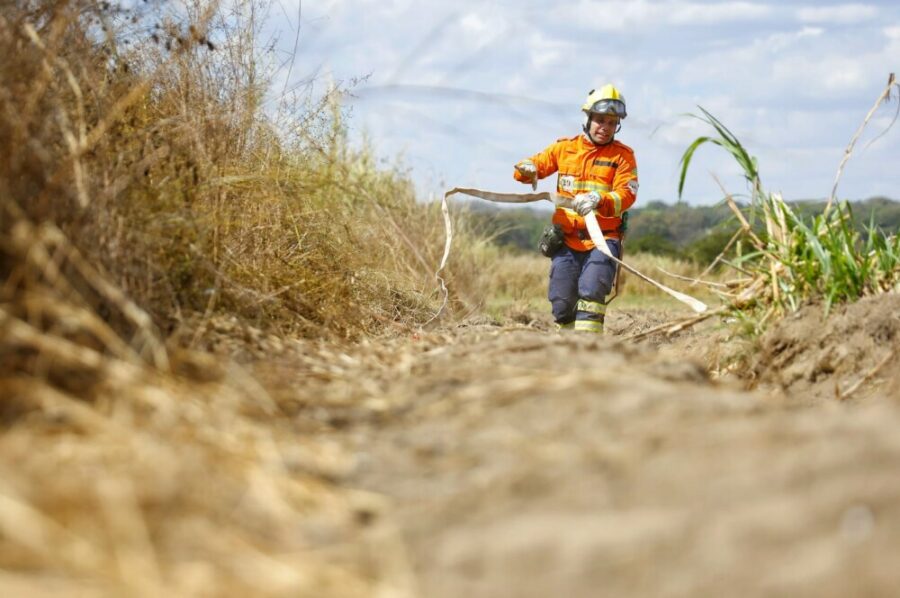 Curso de Instrução de Nivelamento de Conhecimento Florestal – 2025