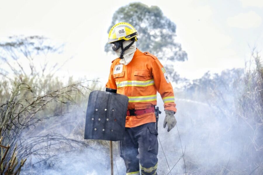 Curso de Instrução de Nivelamento de Conhecimento Florestal – 2025