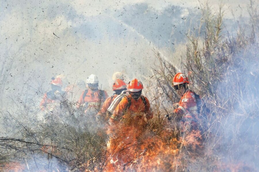 Curso de Instrução de Nivelamento de Conhecimento Florestal – 2025