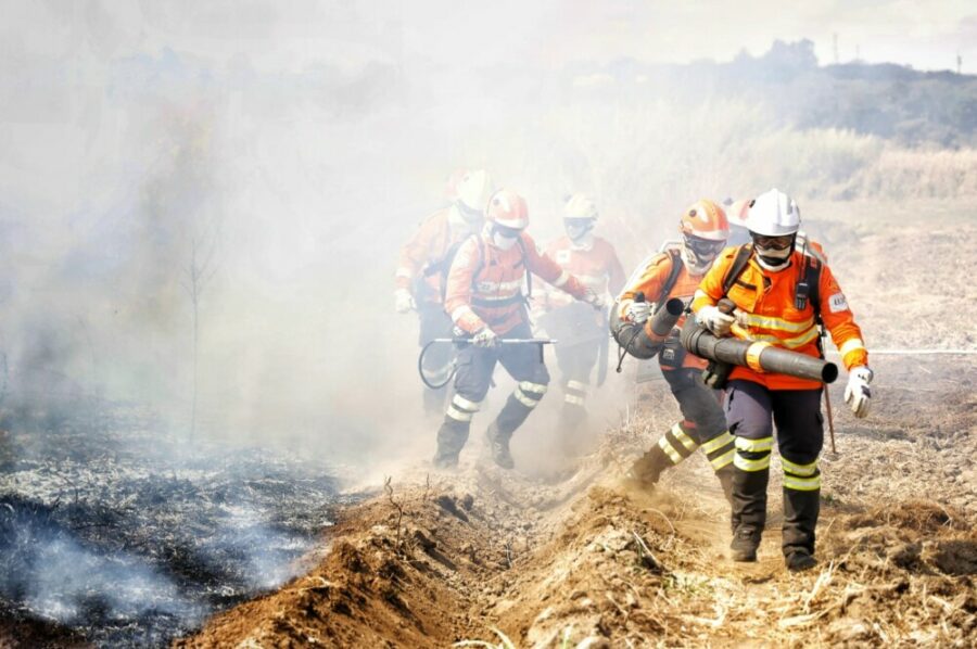 Curso de Instrução de Nivelamento de Conhecimento Florestal – 2025