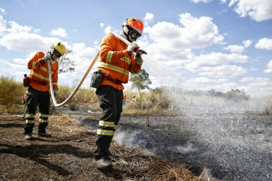 Curso de Instrução de Nivelamento de Conhecimento Florestal – 2025