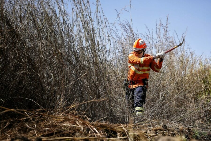 Curso de Instrução de Nivelamento de Conhecimento Florestal – 2025