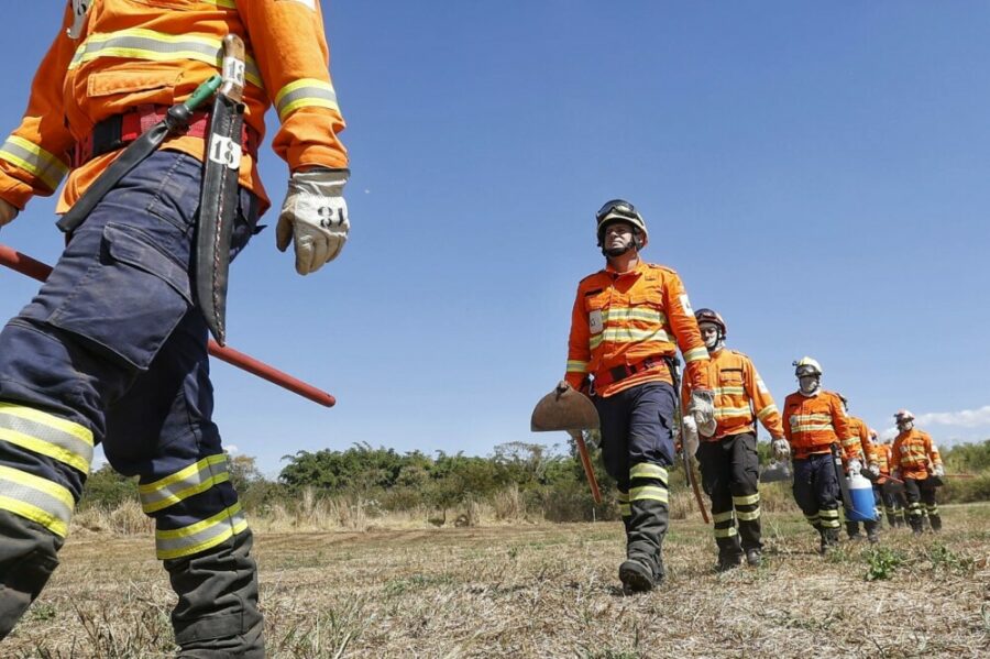 Curso de Instrução de Nivelamento de Conhecimento Florestal – 2025