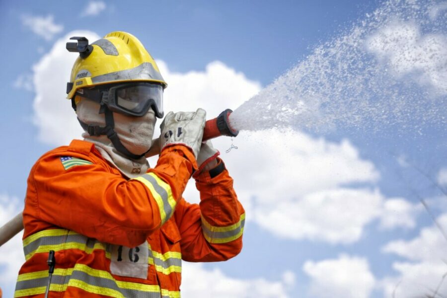 Curso de Instrução de Nivelamento de Conhecimento Florestal – 2025