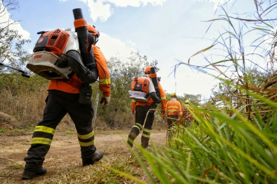 Curso de Instrução de Nivelamento de Conhecimento Florestal – 2025