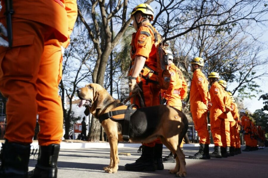 O @CBMGO marcou presença no desfile cívico militar em comemoração ao Dia da Independência do Brasil.