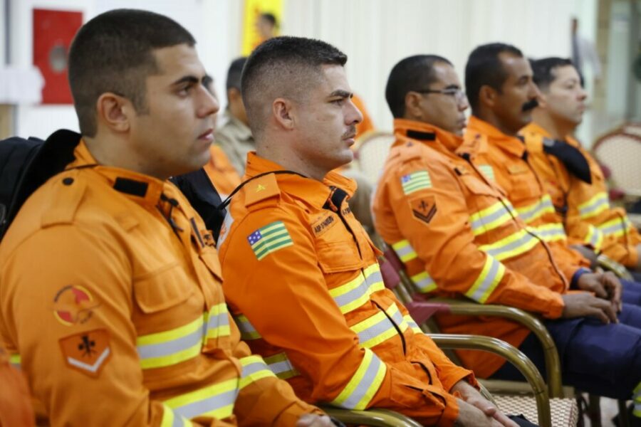 Seminário de Encerramento da Operação Cerrado Vivo 2025