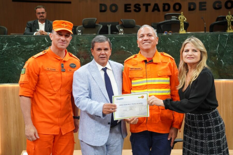 Bombeiros Militares da Operação Cerrado Vivo são homenageados na Alego
