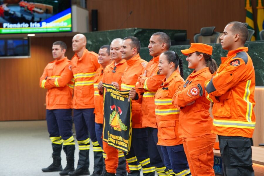 Bombeiros Militares da Operação Cerrado Vivo são homenageados na Alego
