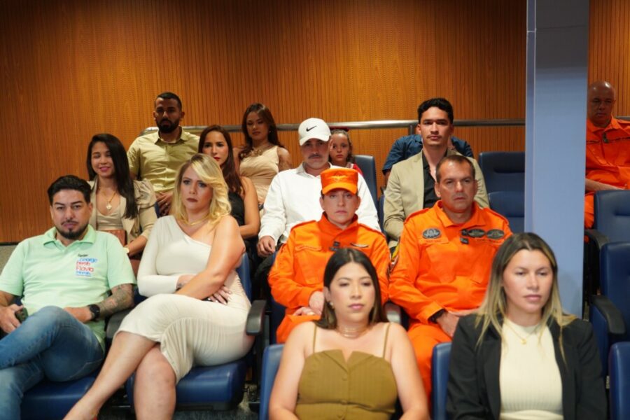 Bombeiros Militares da Operação Cerrado Vivo são homenageados na Alego