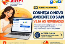 SIAPI com acesso pelo gov.br: conheça o novo ambiente e acesse o guia com as principais novidades